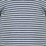 organicera organic baby short sleeve tshirt body ındıgo striped